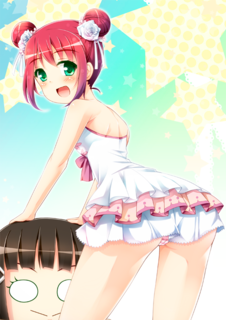 c95omake.png
